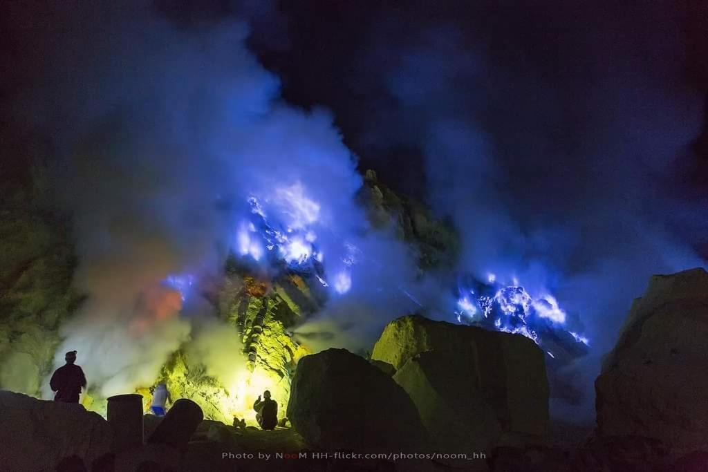 Dannu'S Homestay Ijen And Bromo Tour 바뉴왕기 외부 사진