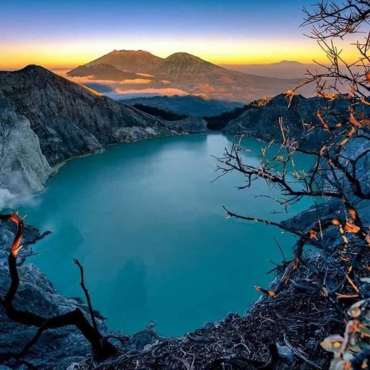 Dannu'S Homestay Ijen And Bromo Tour 바뉴왕기 외부 사진