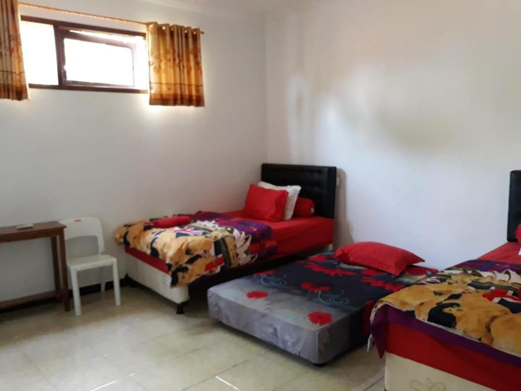Dannu'S Homestay Ijen And Bromo Tour 바뉴왕기 외부 사진
