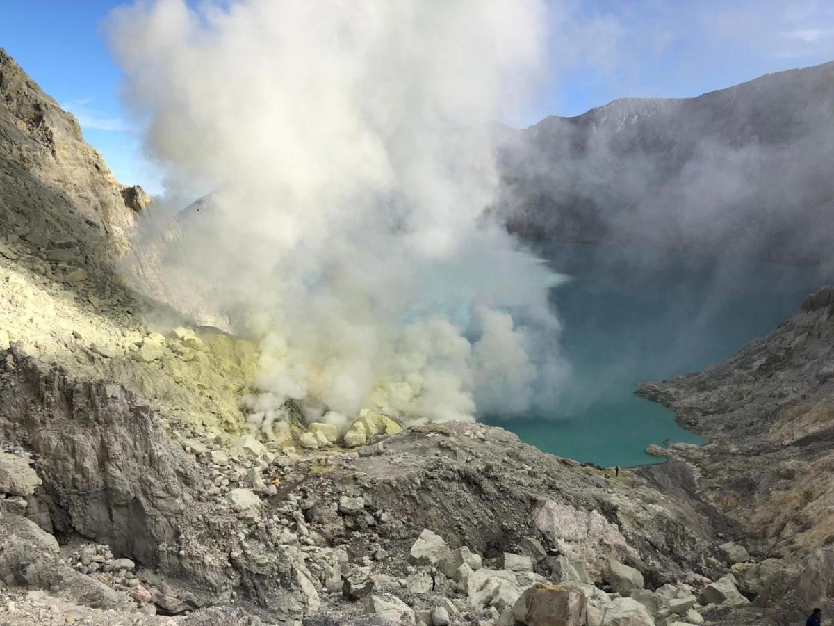 Dannu'S Homestay Ijen And Bromo Tour 바뉴왕기 외부 사진