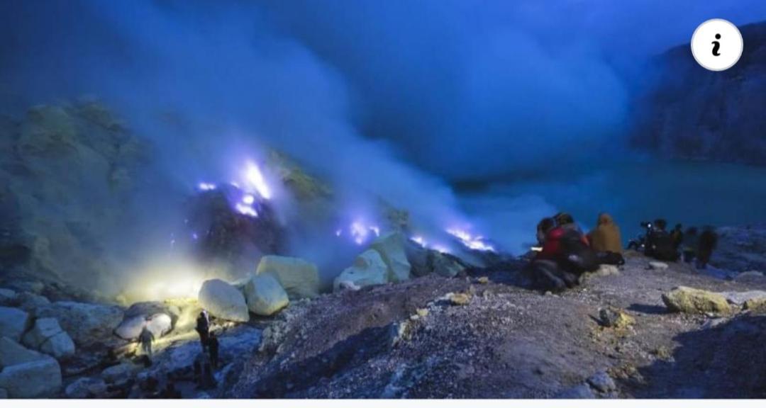 Dannu'S Homestay Ijen And Bromo Tour 바뉴왕기 외부 사진