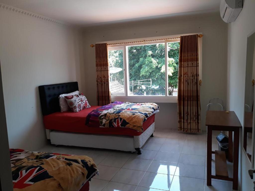 Dannu'S Homestay Ijen And Bromo Tour 바뉴왕기 외부 사진