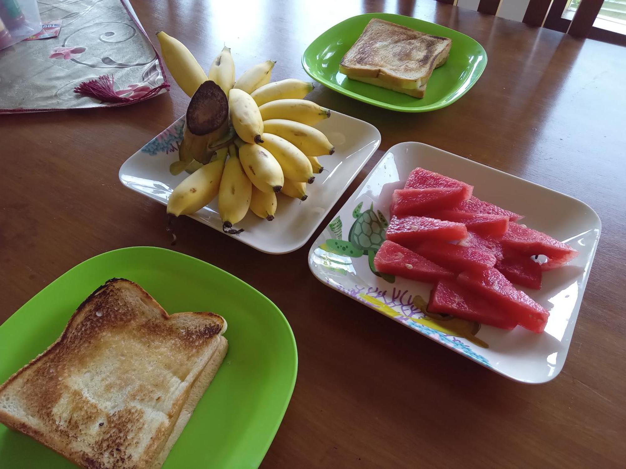 Dannu'S Homestay Ijen And Bromo Tour 바뉴왕기 외부 사진