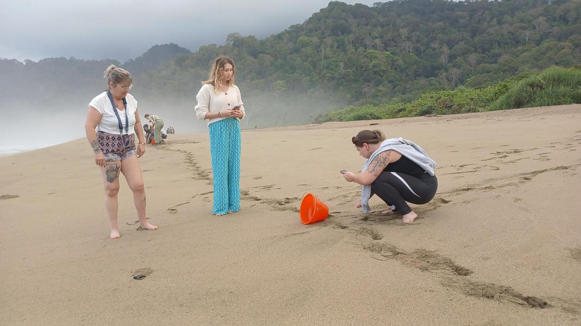 Dannu'S Homestay Ijen And Bromo Tour 바뉴왕기 외부 사진